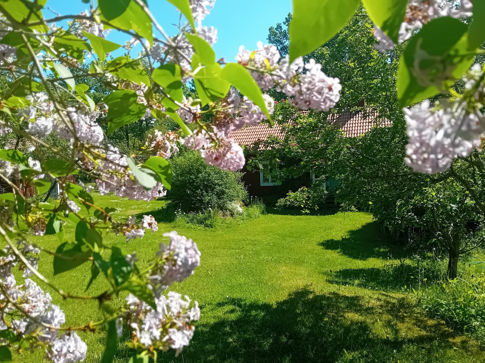 2 rok · 35 m² i Ödeshög – bild 2