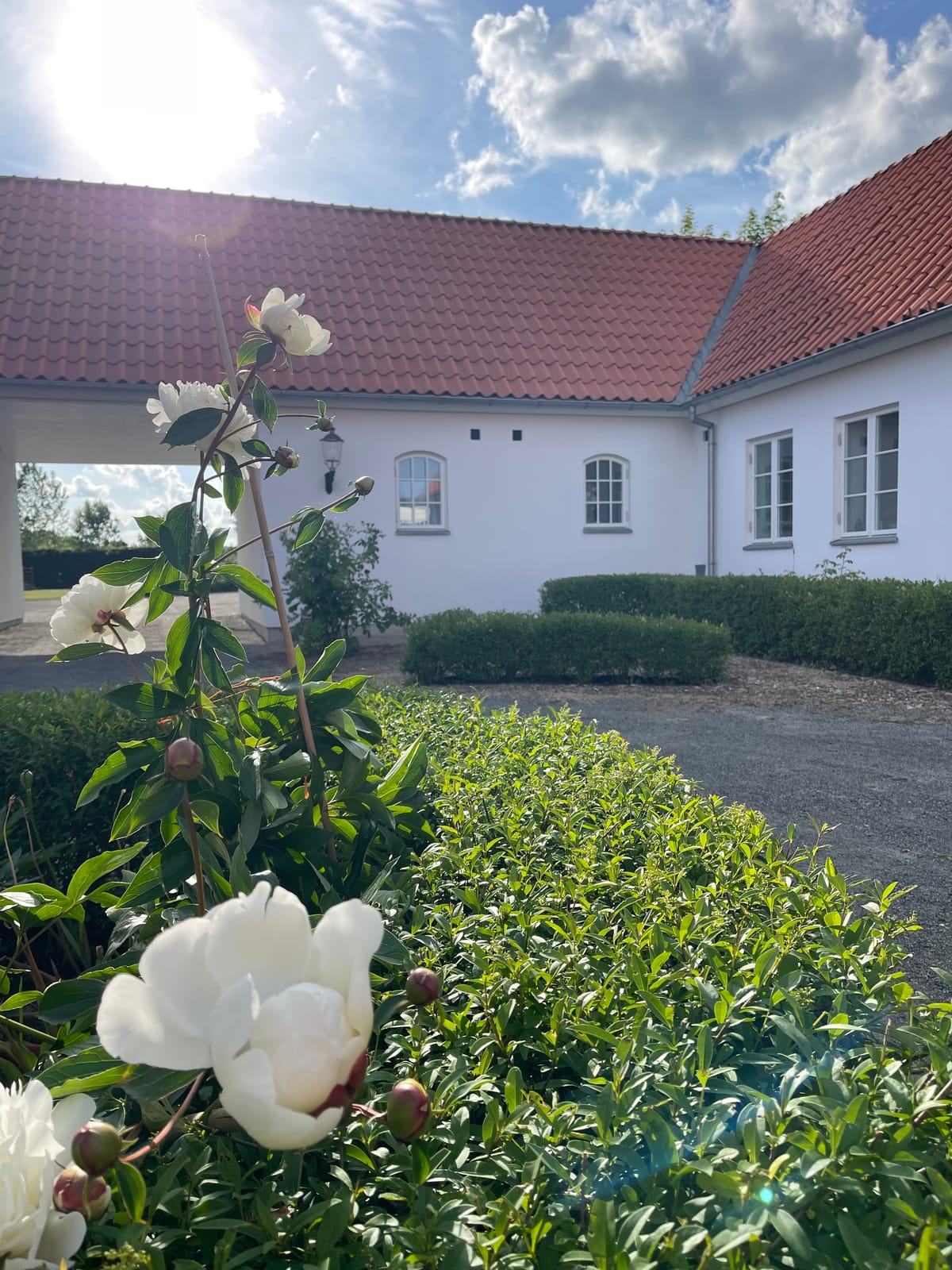 1 rok · 30 m² i Kivik – bild 13
