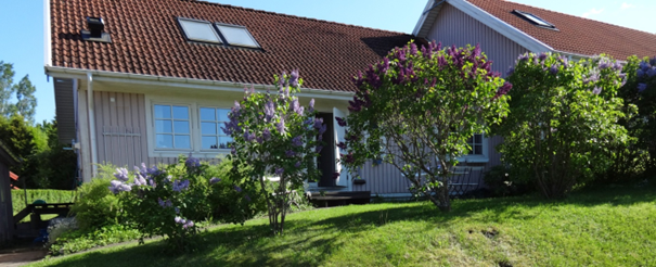 Duplex, 5 rooms, 140 sqm, Segmon – Segmon