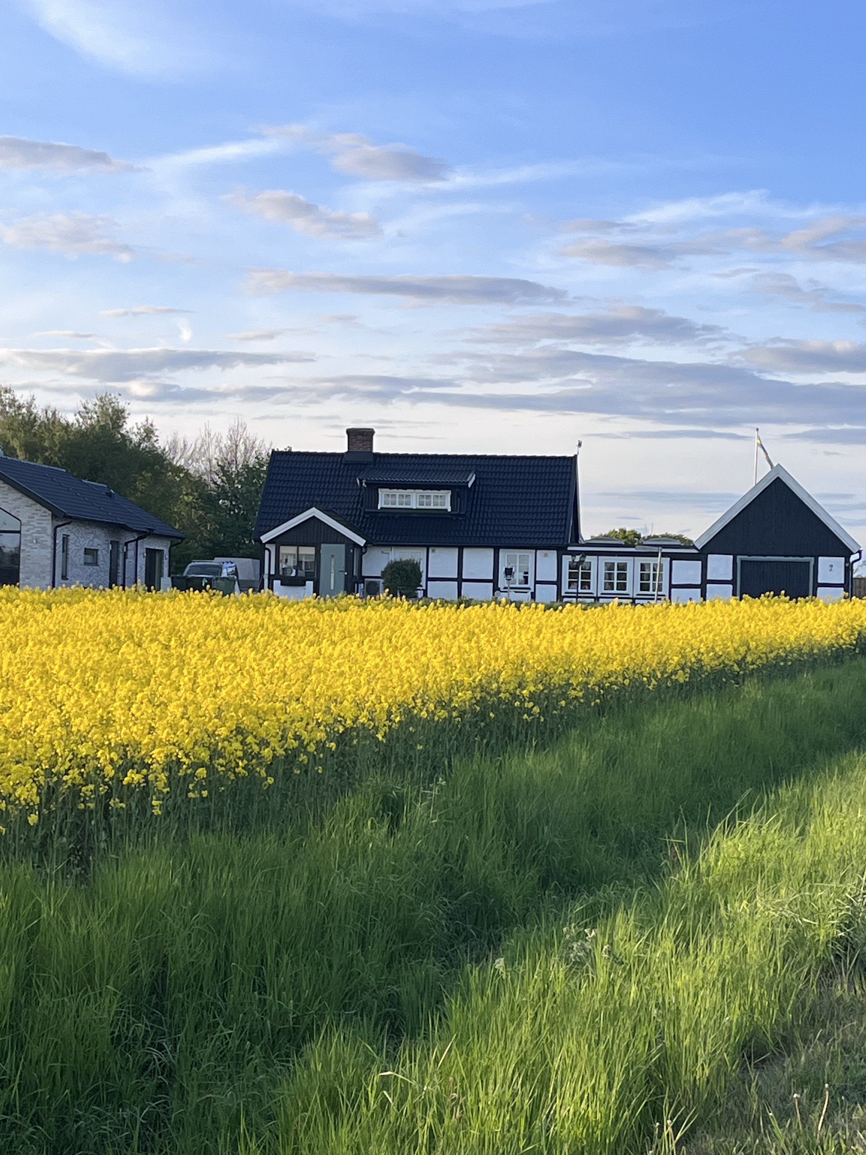 Villa/Hus, 4 rooms, 150 sqm, Höganäs – bild 9