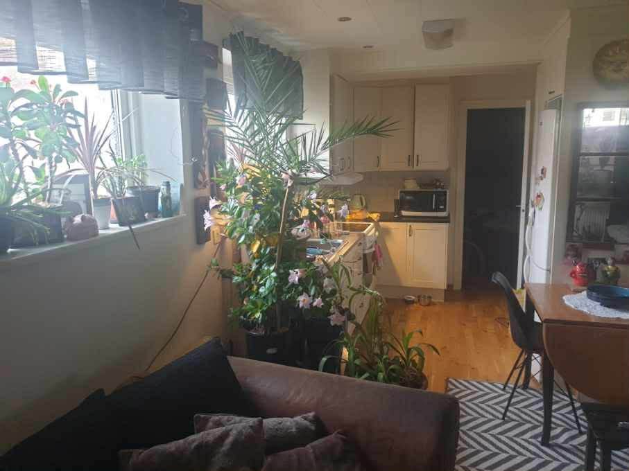 2 rok · 45 m² i Asarum – bild 6