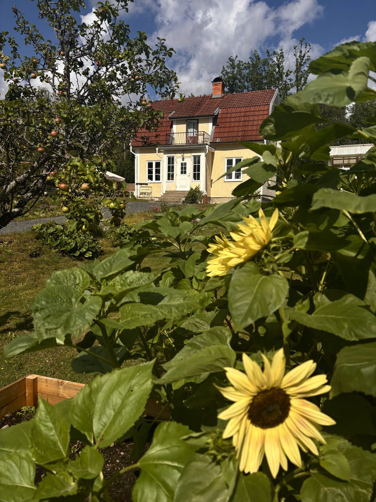 4 rok · 100 m² i Edsbro – bild 29