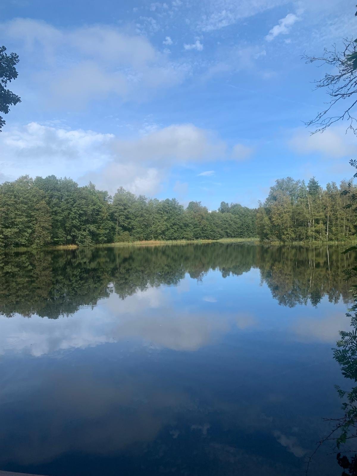 3 rok · 92 m² i Bodafors – bild 7