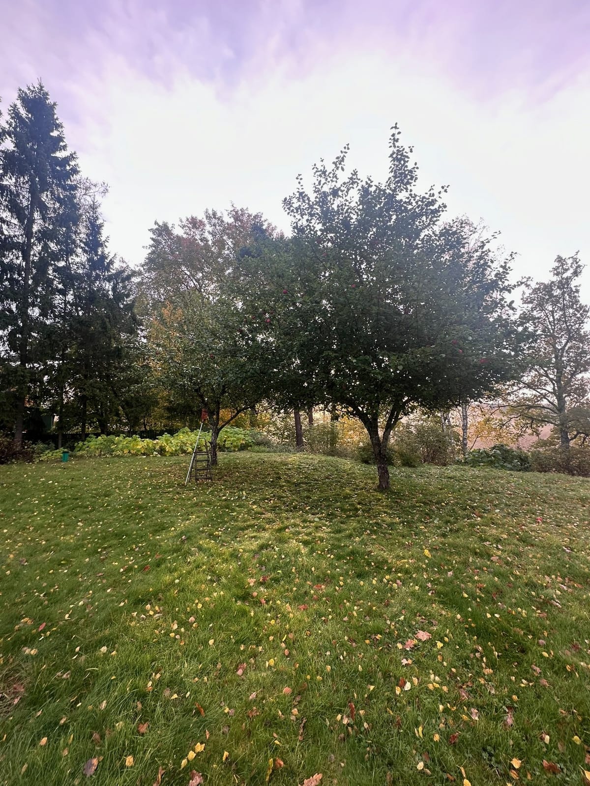 6 rok · 250 m² i Järna – bild 4
