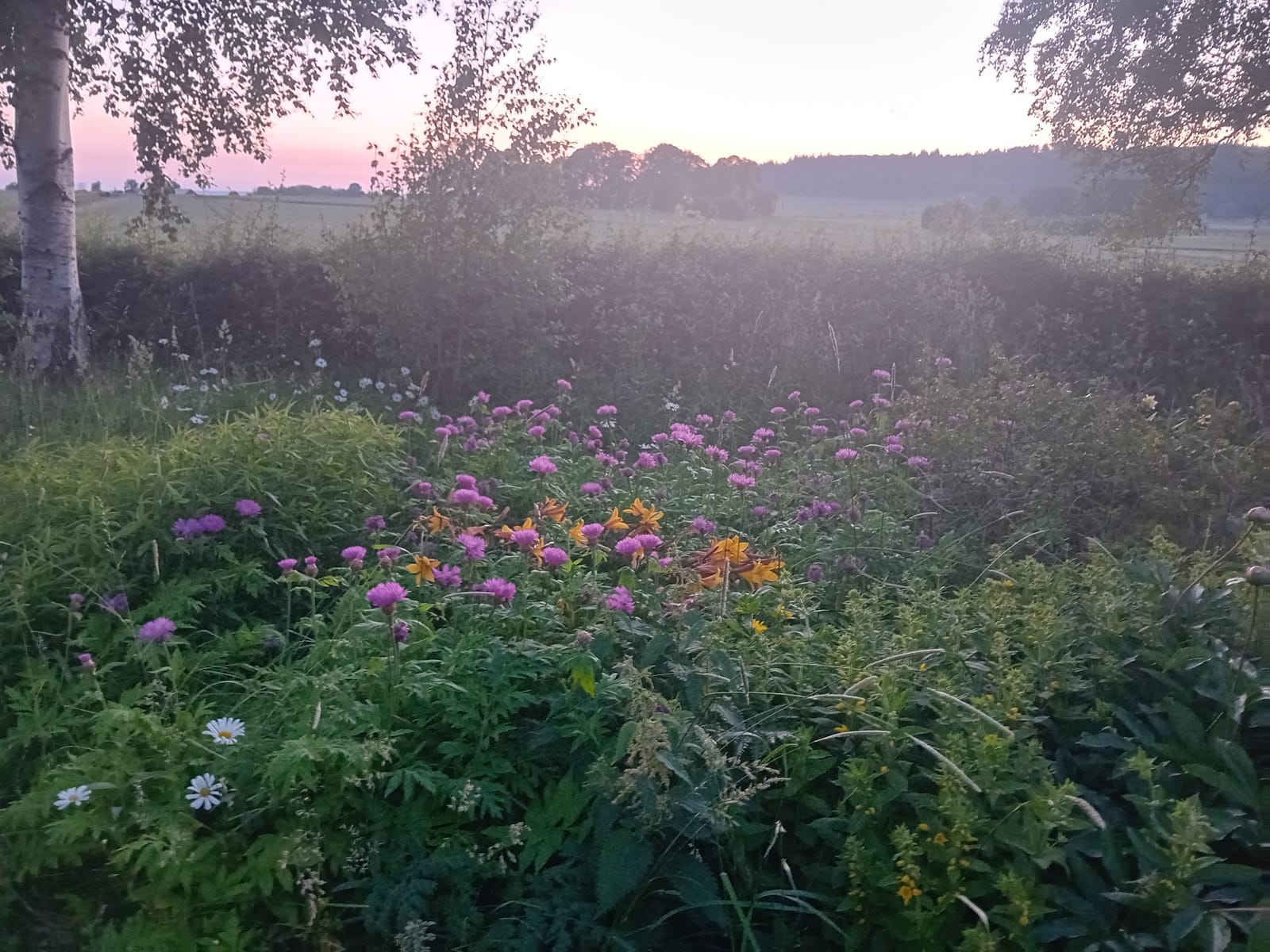 2 rok · 35 m² i Ödeshög – bild 10