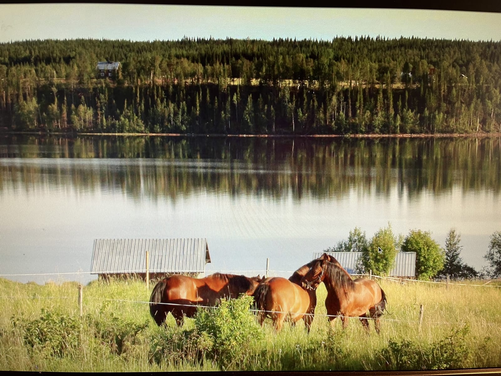 4 rok · 140 m² i Strömsund – bild 4