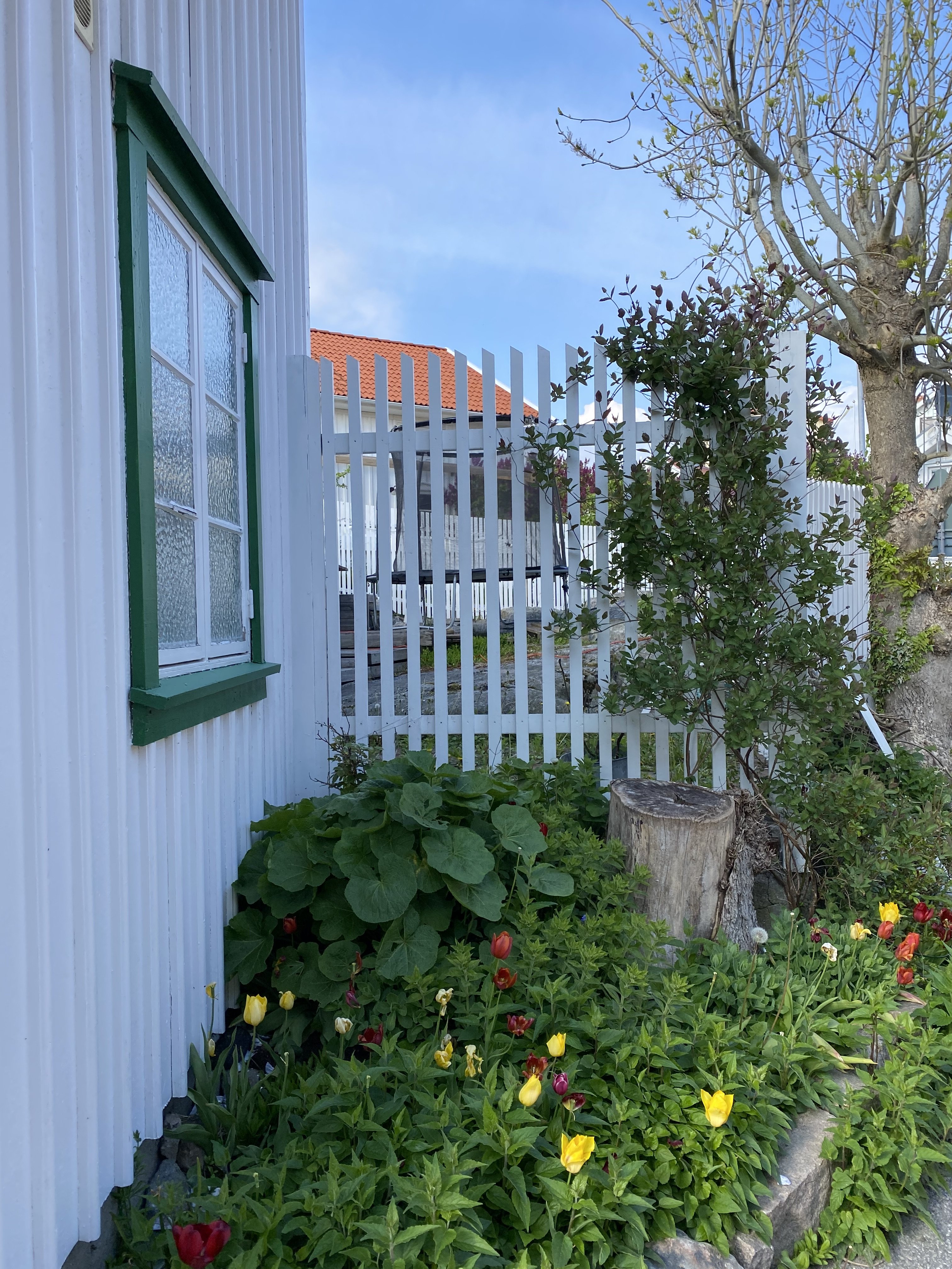 Villa/Hus, 3 rooms, 70 sqm, Skärhamn – bild 2
