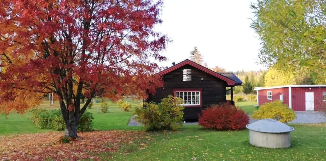 Stuga, 2 rooms, 40 sqm, Östersund