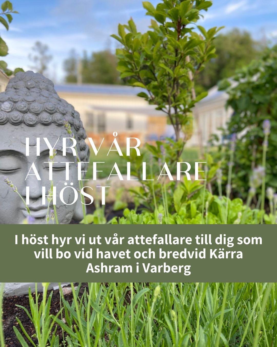 Stuga, 2 rooms, 25 sqm, Varberg