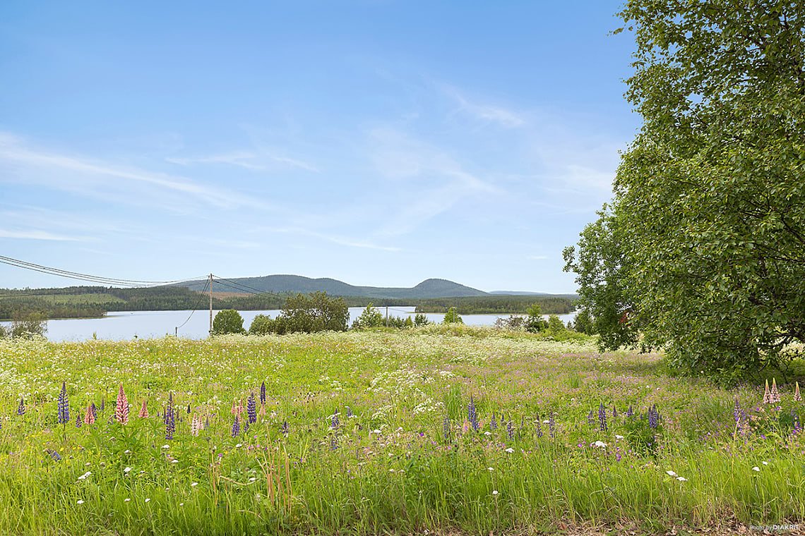 3 rok · 80 m² i Åsele – bild 18