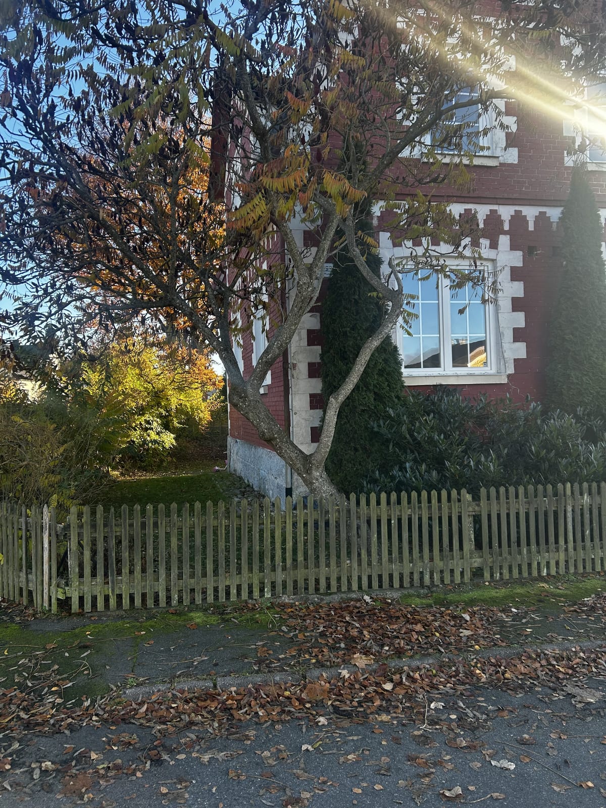 5 rok · 155 m² i Bjärnum – bild 2