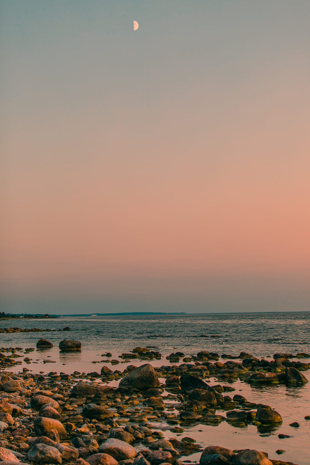4 rok · 50 m² i Visby – bild 17
