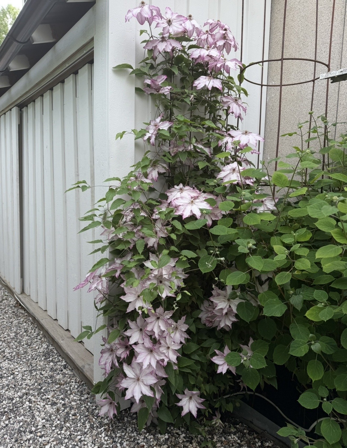 Radhus, 4 rooms, 99 sqm, Segeltorp – bild 6