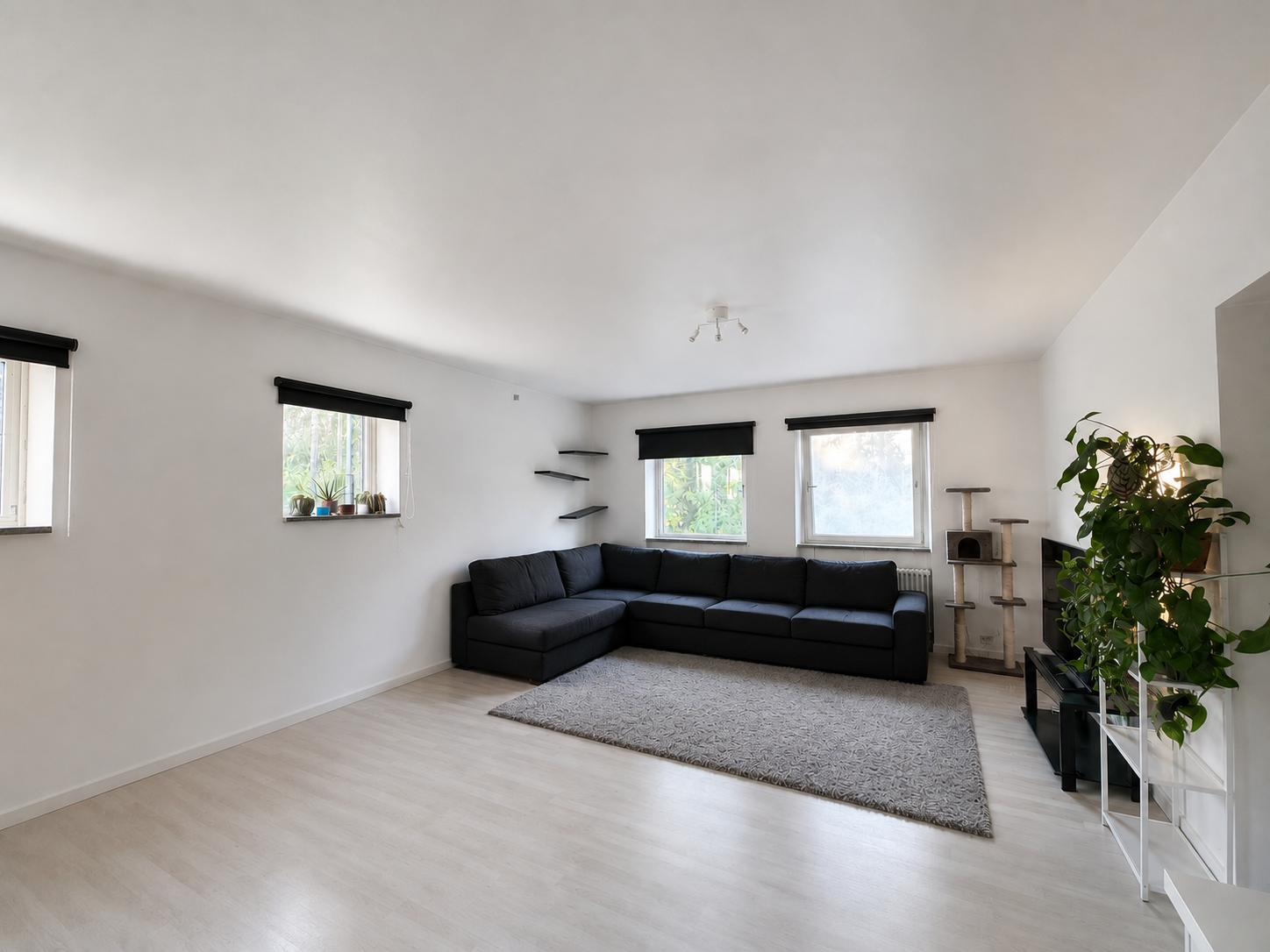 Lägenhet, 2 rooms, 60 sqm, Pålsboda – bild 2