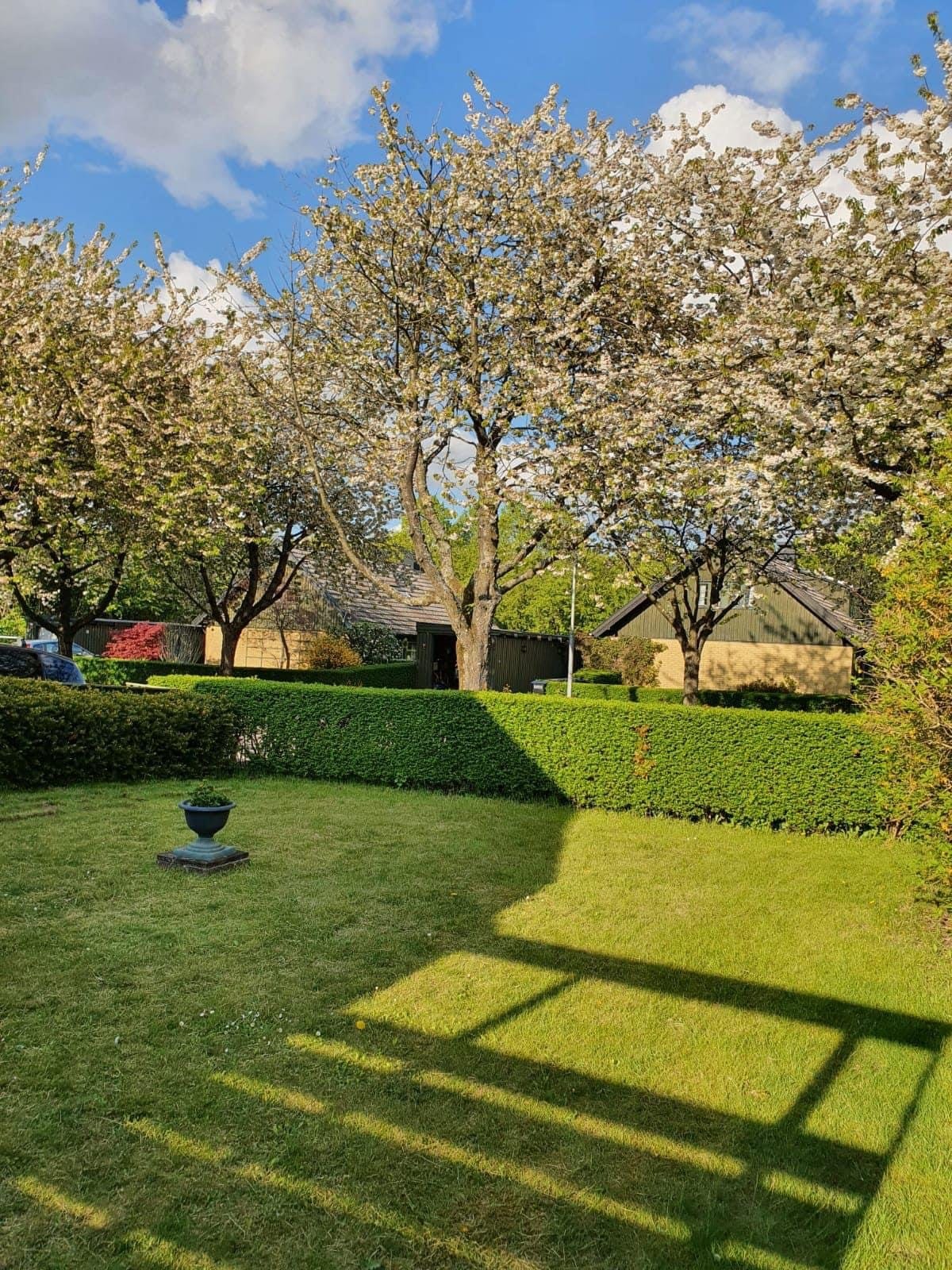 7 rok · 165 m² i Lund – bild 3