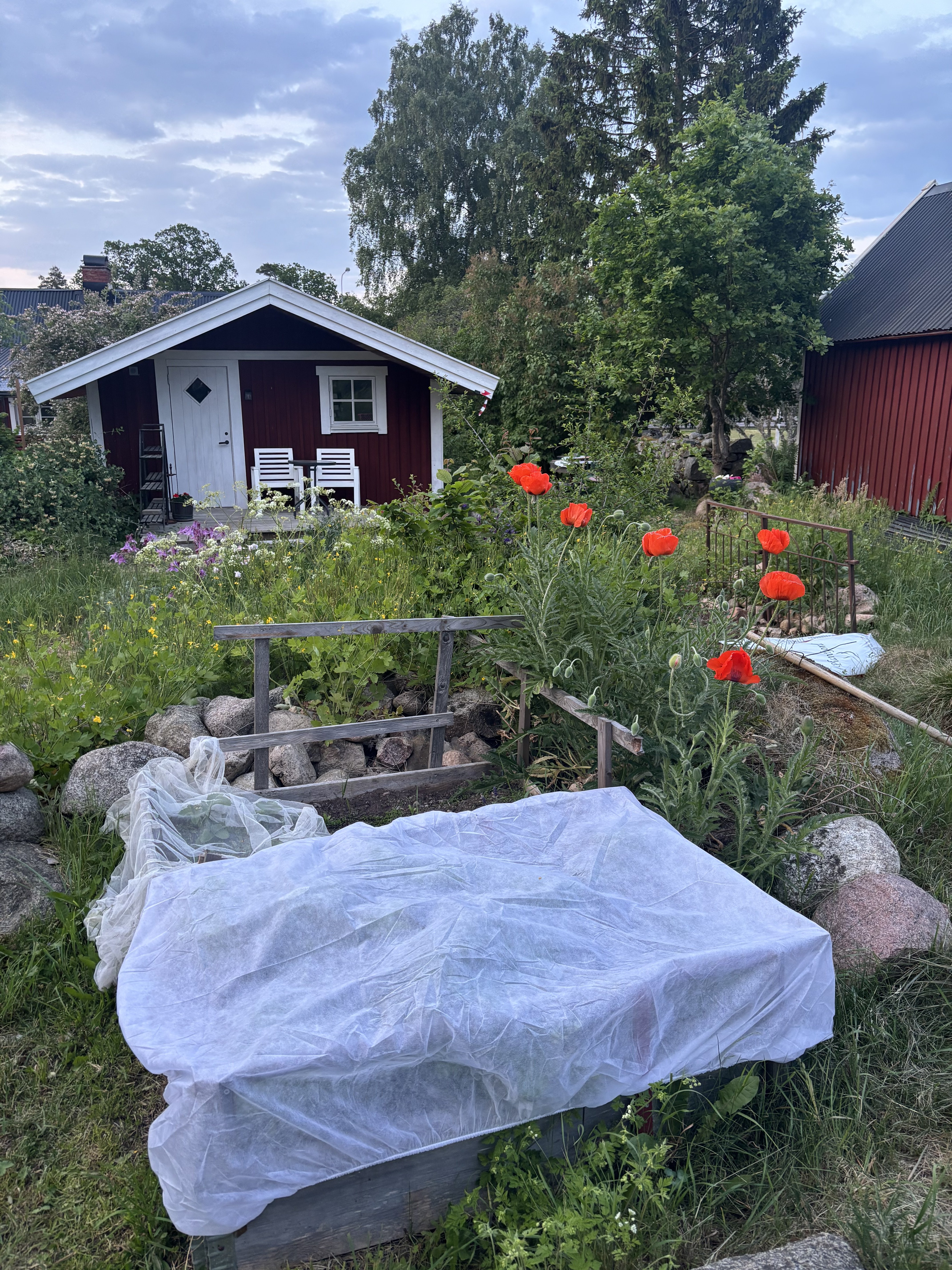 Stuga, 1 rooms, 20 sqm, Ålem – bild 2