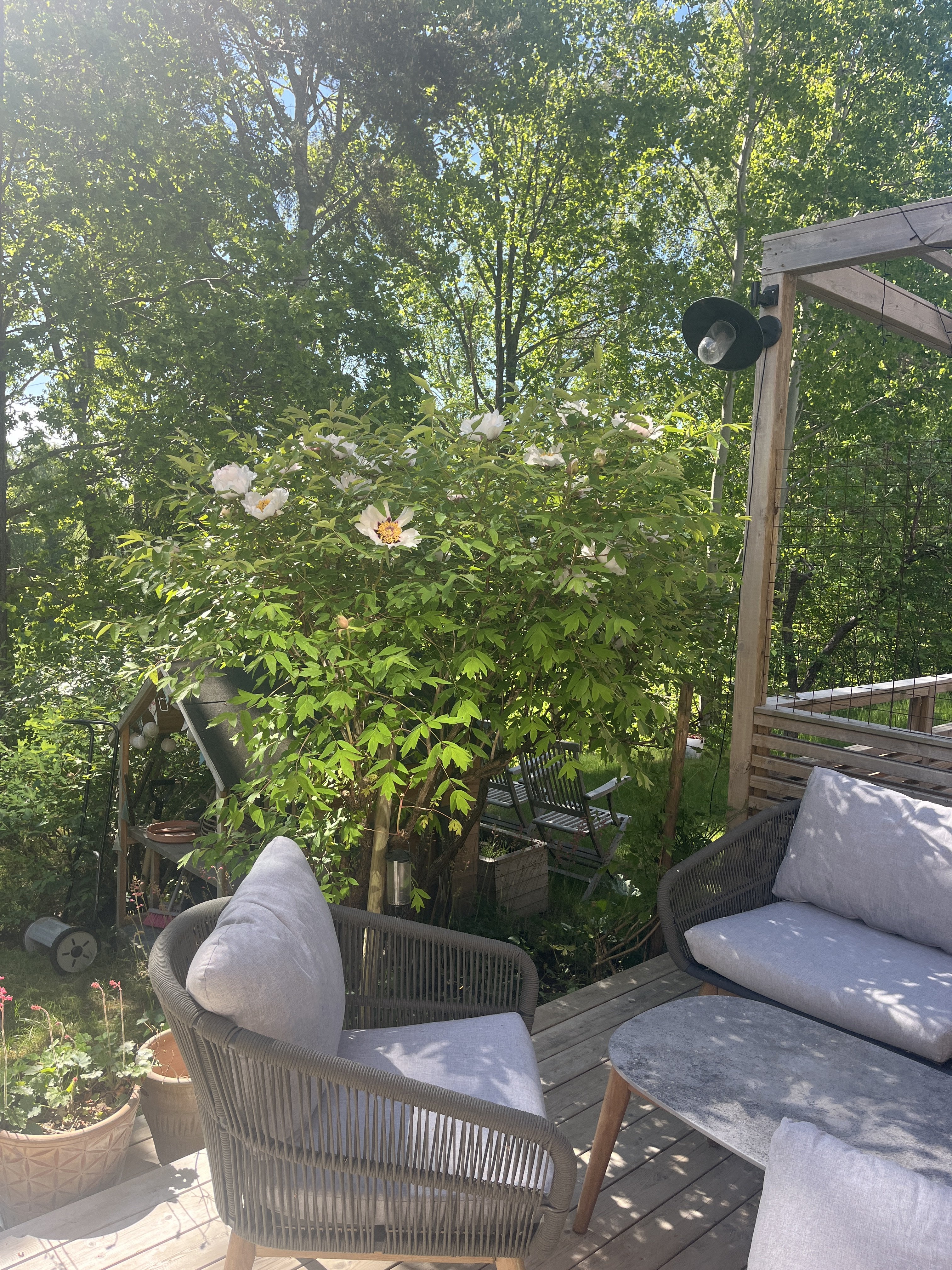 Lägenhet, 6 rooms, 128 sqm, Lidingö – bild 4