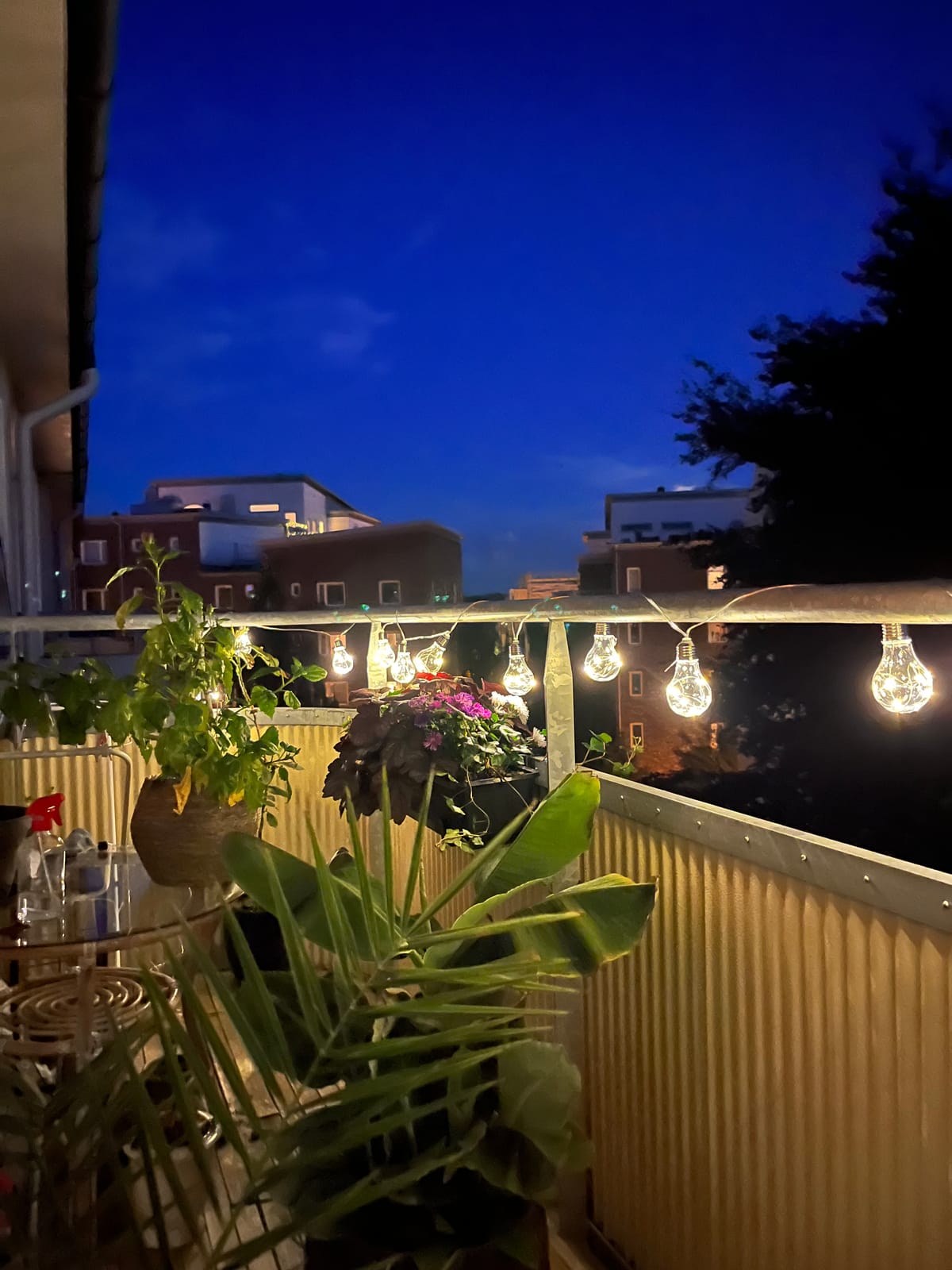2 rok · 26 m² i Lund – bild 3