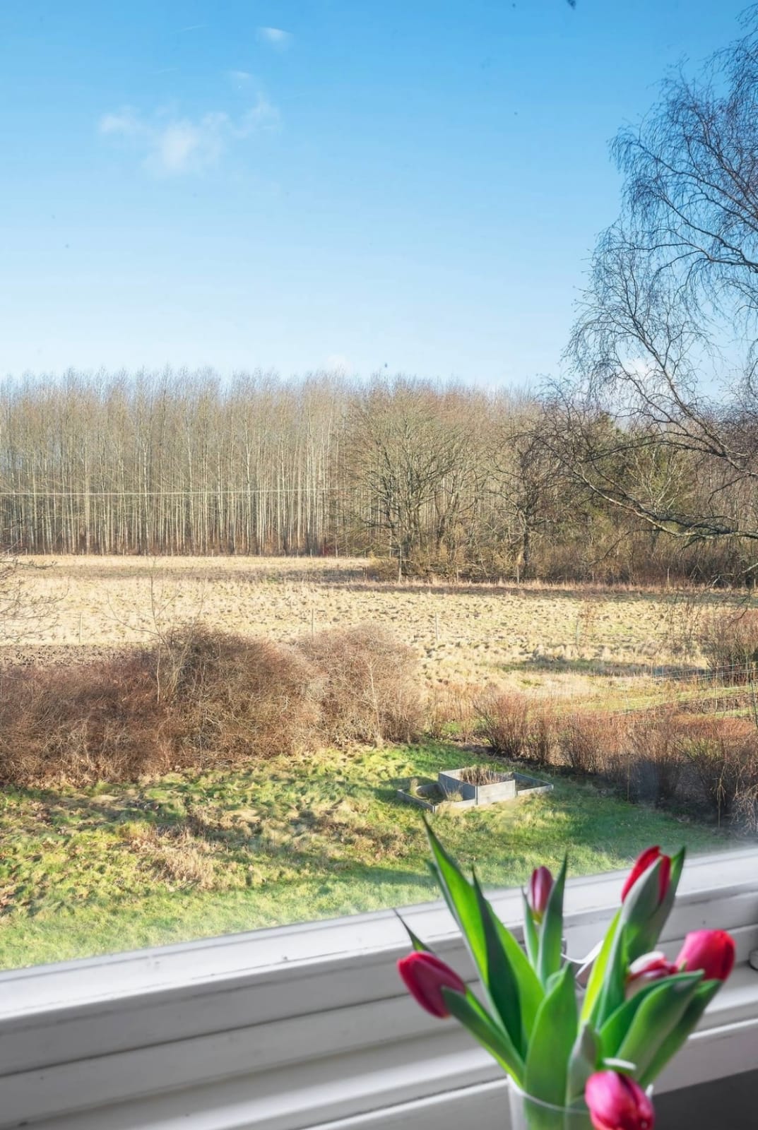 3 rok · 90 m² i Billinge – bild 9