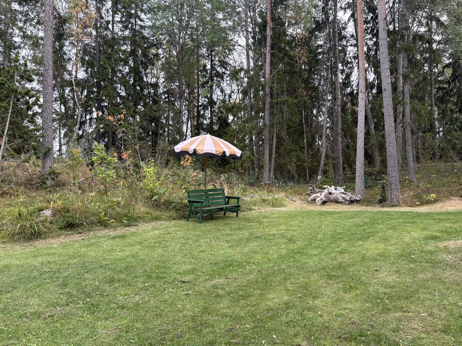 2 rok · 50 m² i Stockholm  – bild 16
