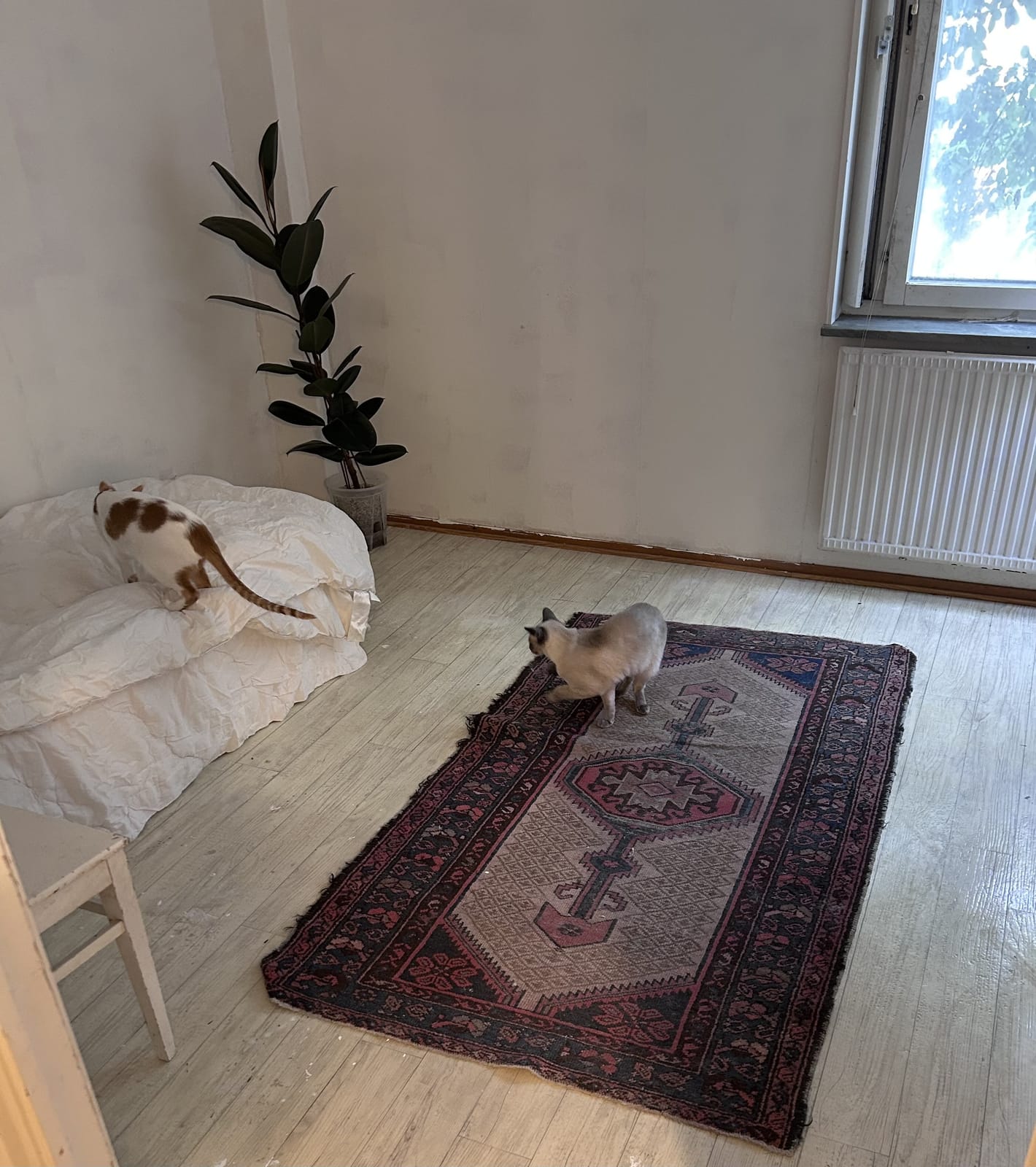 1 rok · 10 m² i Skarpnäck – bild 3
