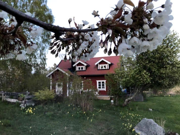 3 rok · 100 m² i Norrtälje – bild 13