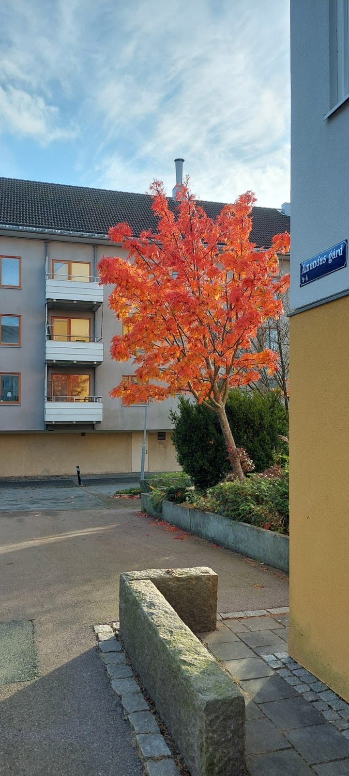 1 rok · 14 m² i Göteborg – bild 3