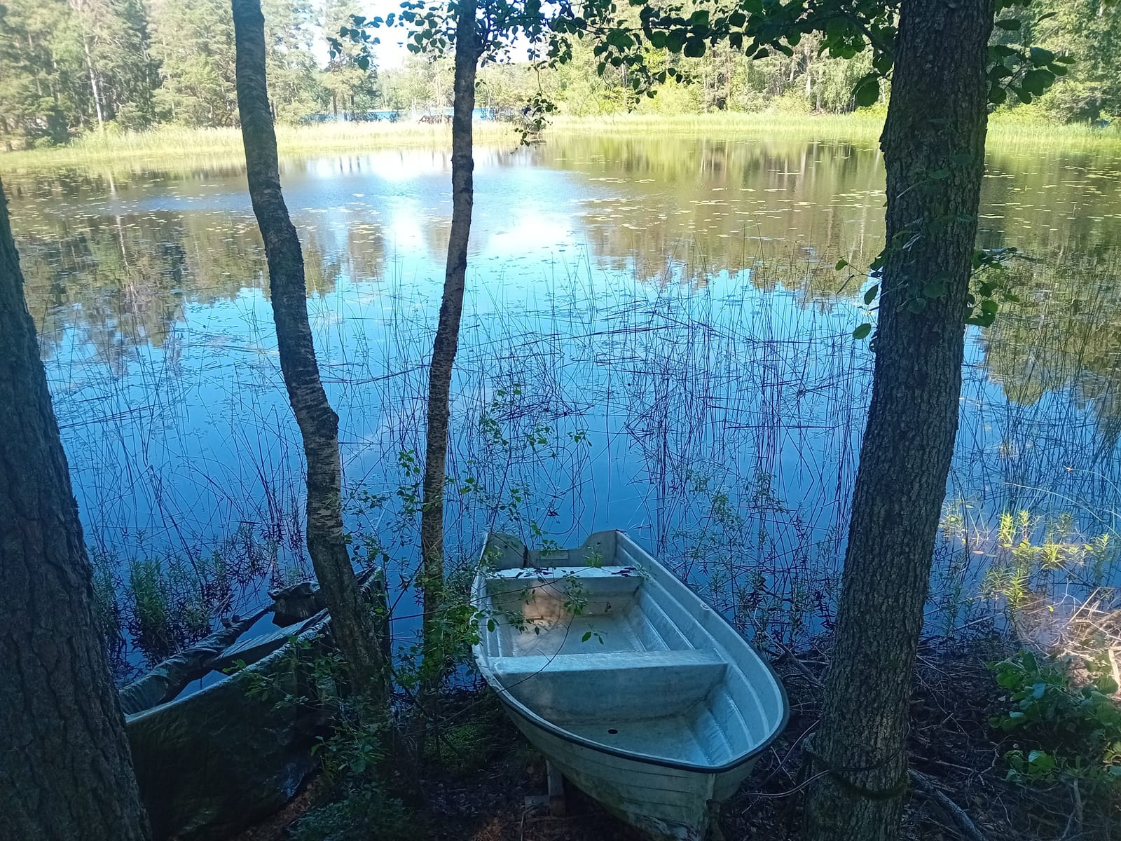 2 rok · 32 m² i Åby – bild 3