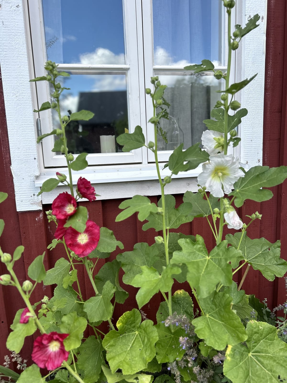 4 rok · 100 m² i Grästorp – bild 4