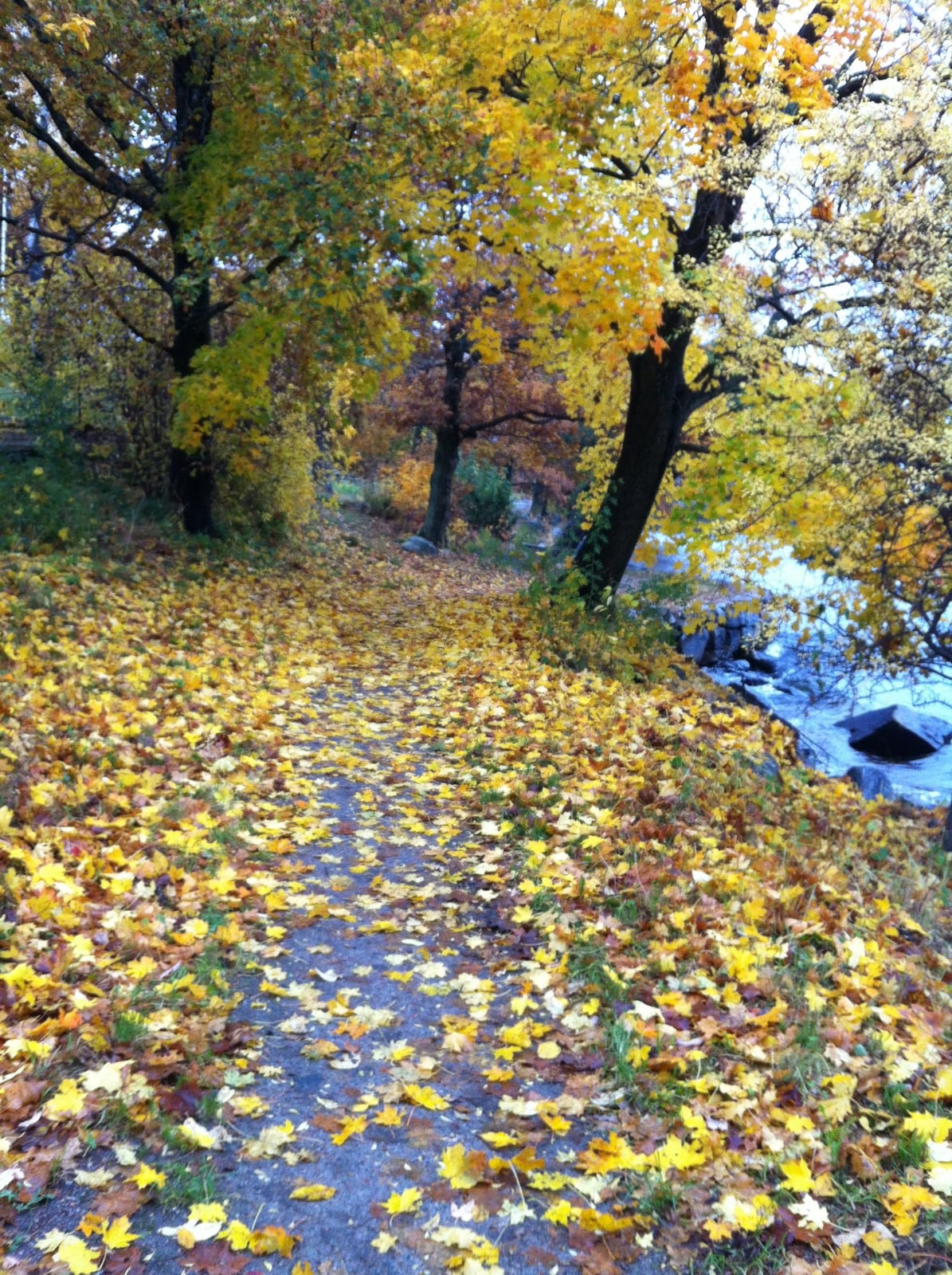 4 rok · 100 m² i Lidingö – bild 18