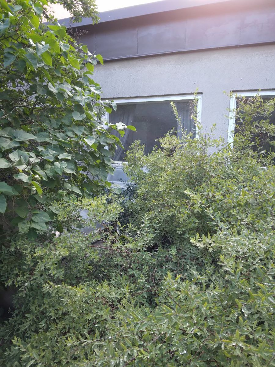 Lägenhet, 1 rooms, 11 sqm, Stockholm – bild 13
