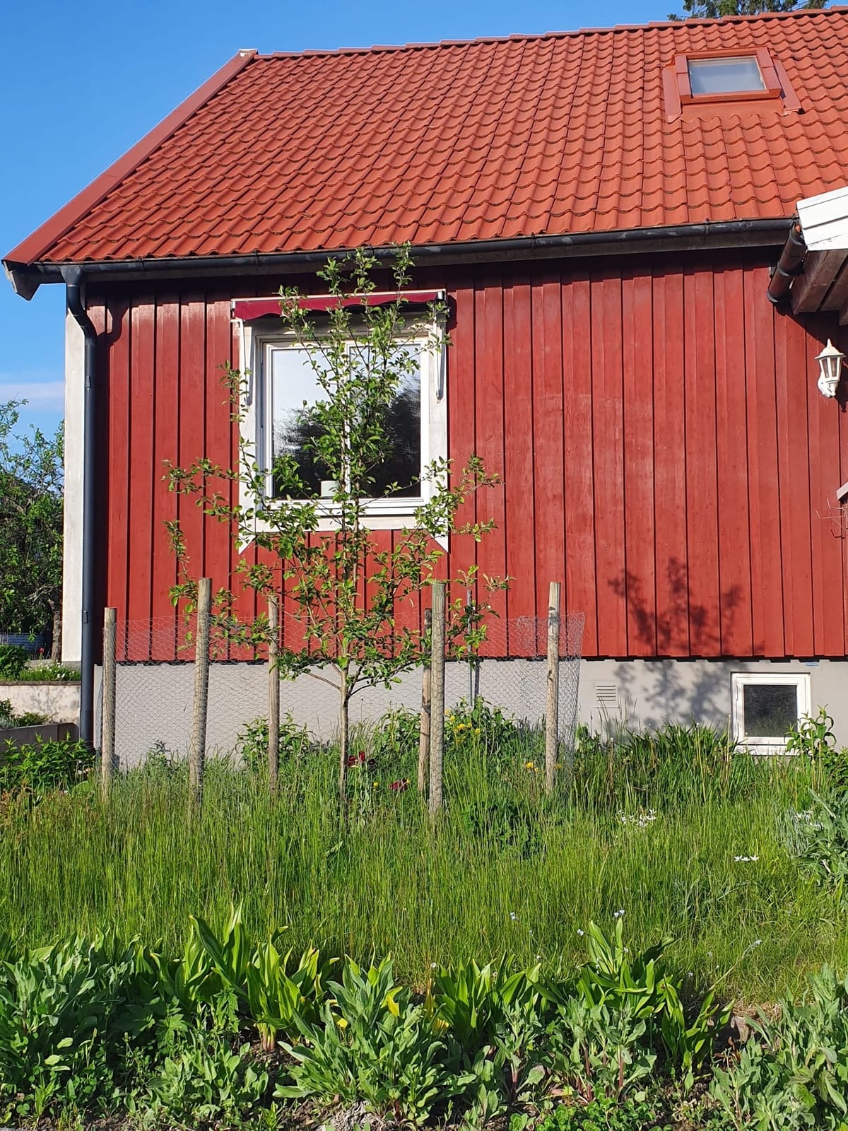 6 rok · 117 m² i Burseryd – bild 15