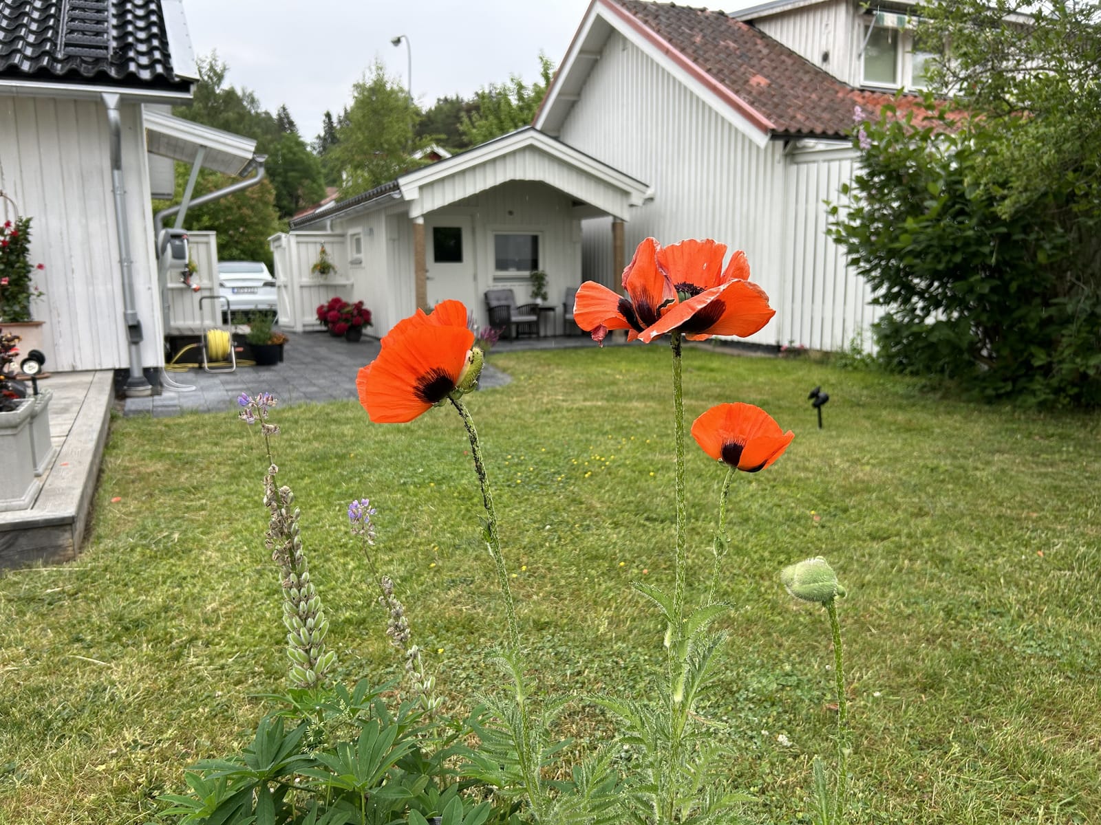 2 rok · 30 m² i Sollentuna – bild 2