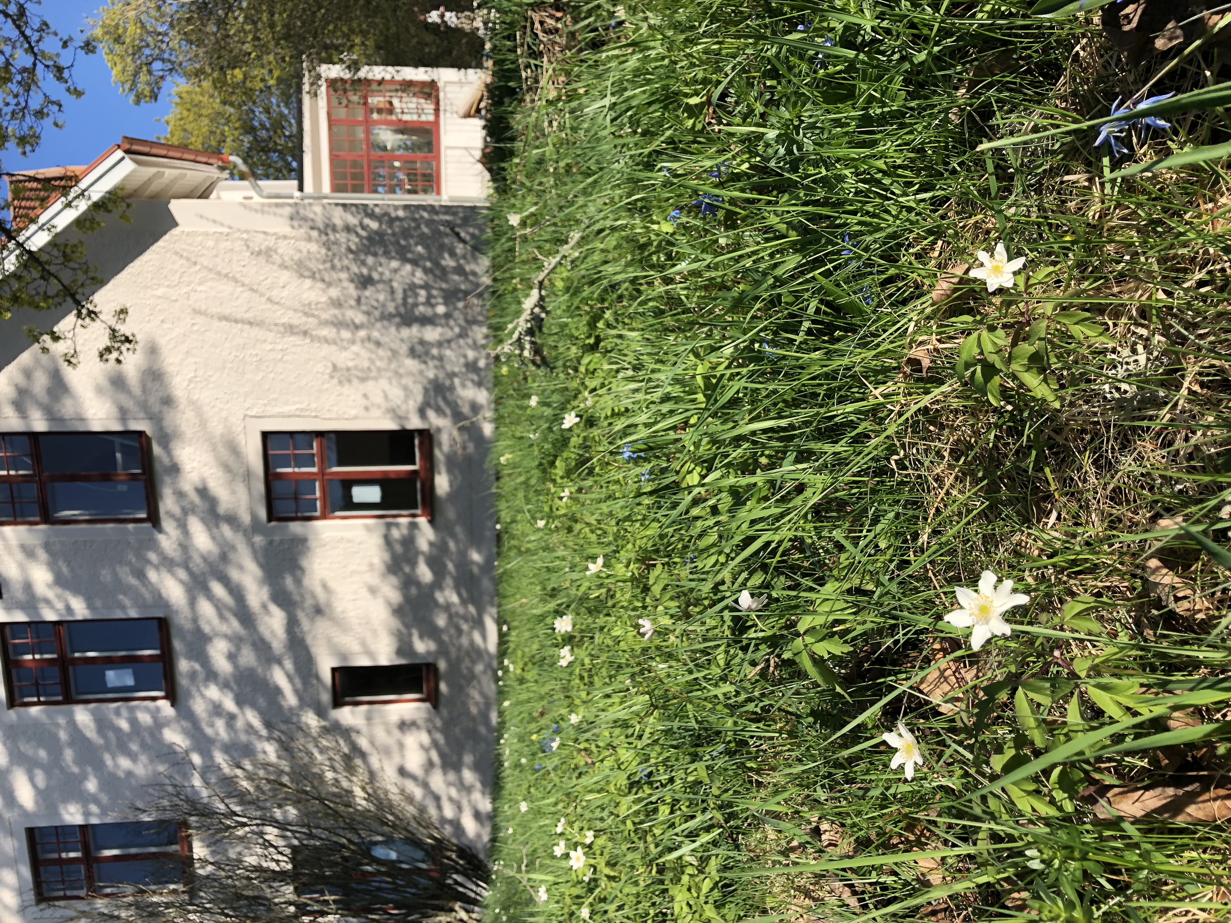 Lägenhet, 4 rooms, 166 sqm, Ransta – bild 18