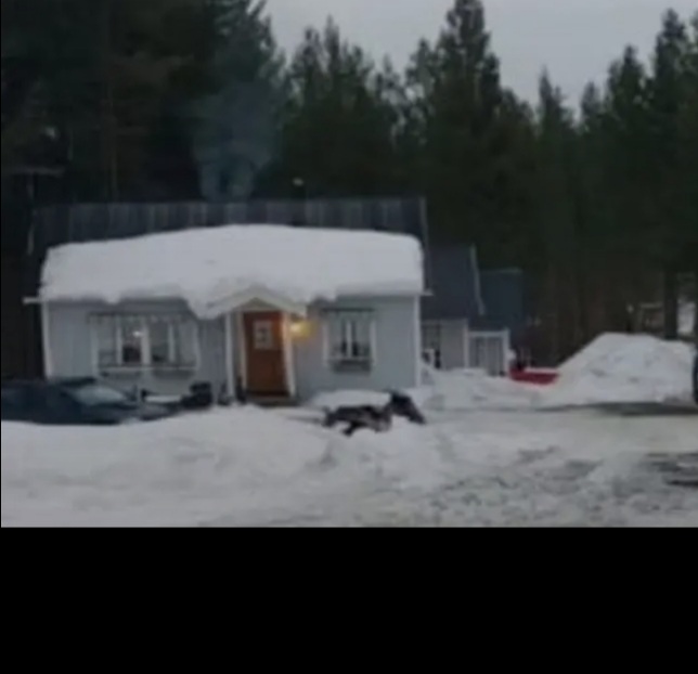 Stuga, 3 rooms, 60 sqm, Älvsbyn
