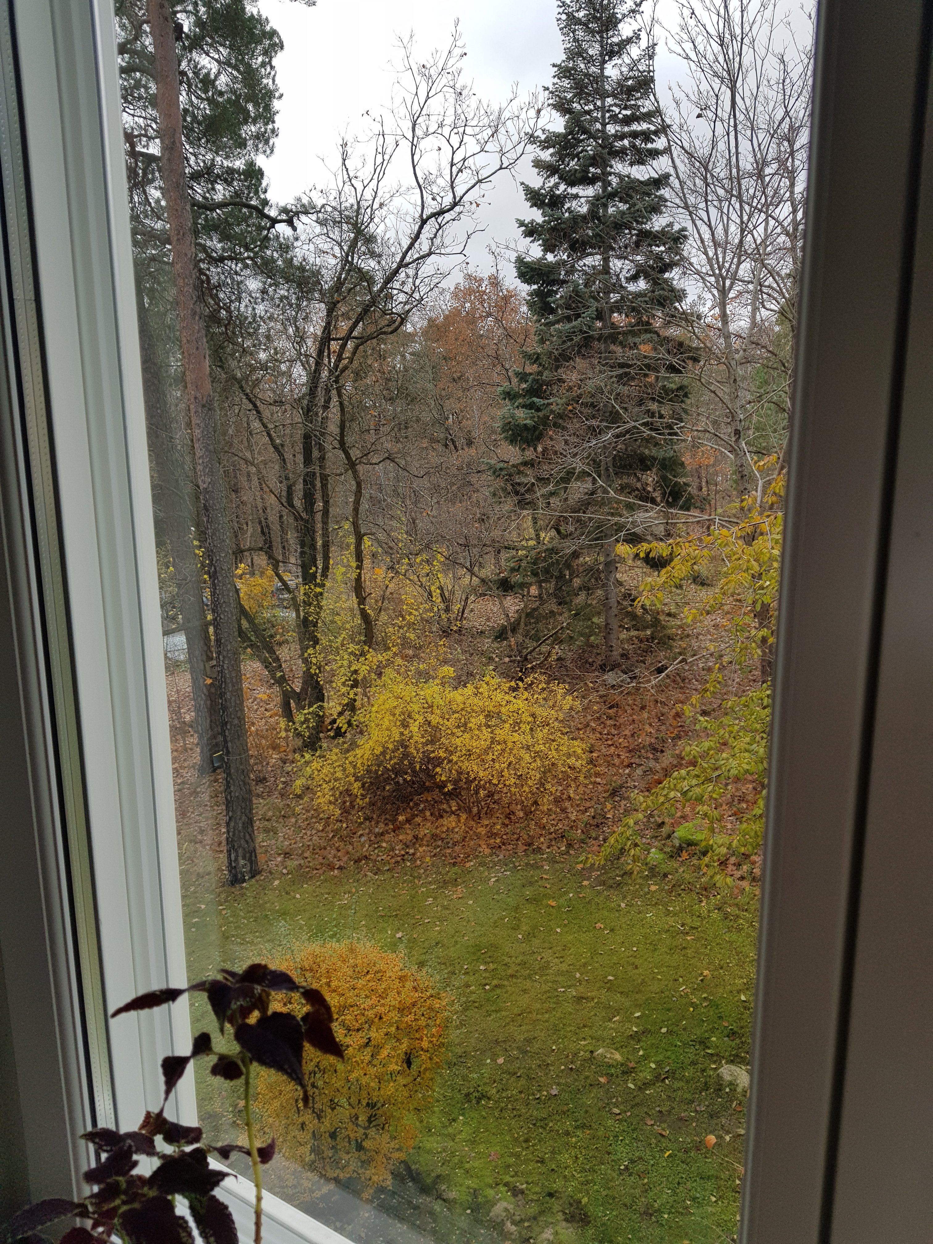 Lägenhet, 1 rooms, 25 sqm, Lidingö – bild 9