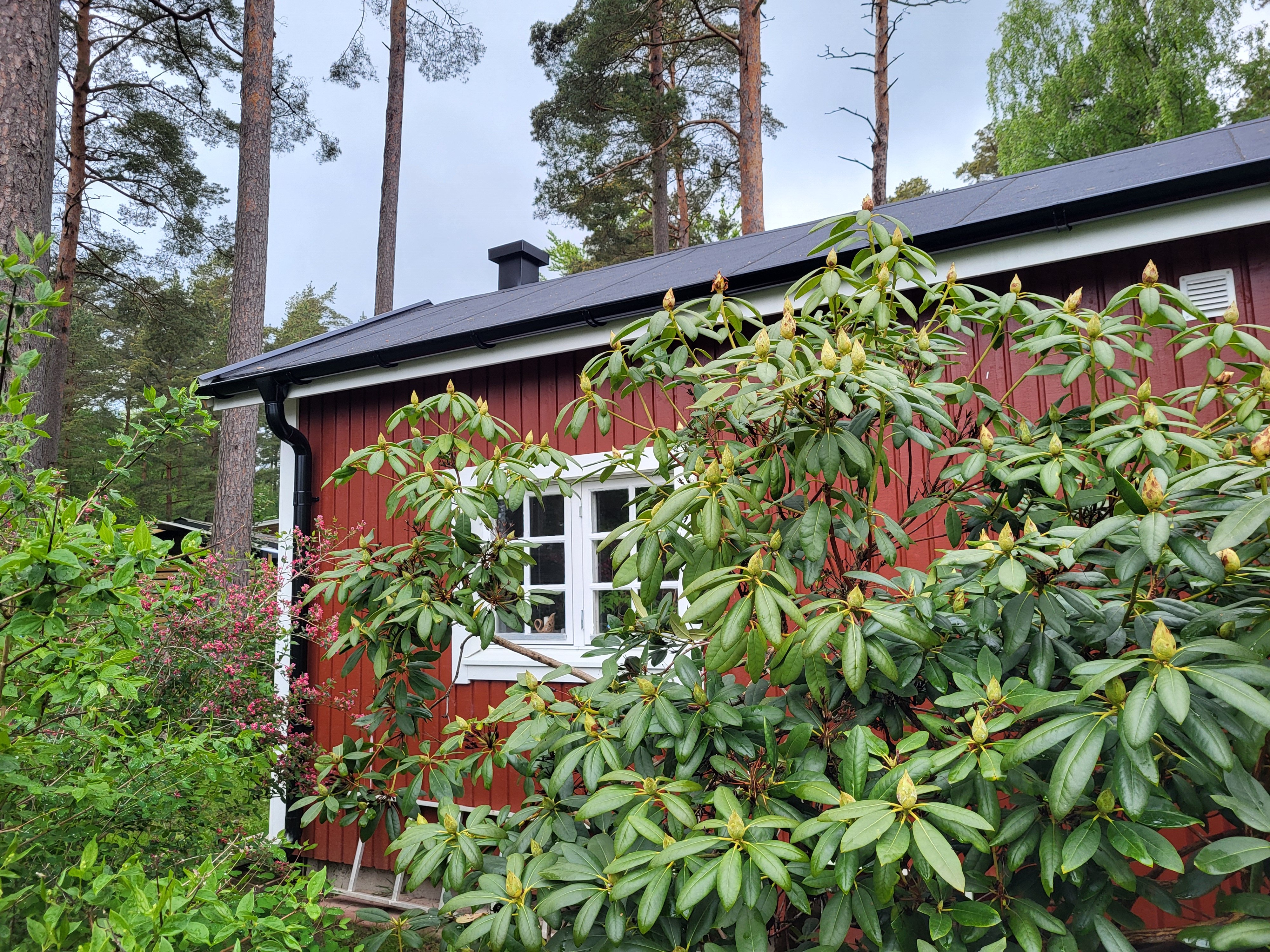 Stuga, 2 rooms, 30 sqm, Sjöbo – bild 2