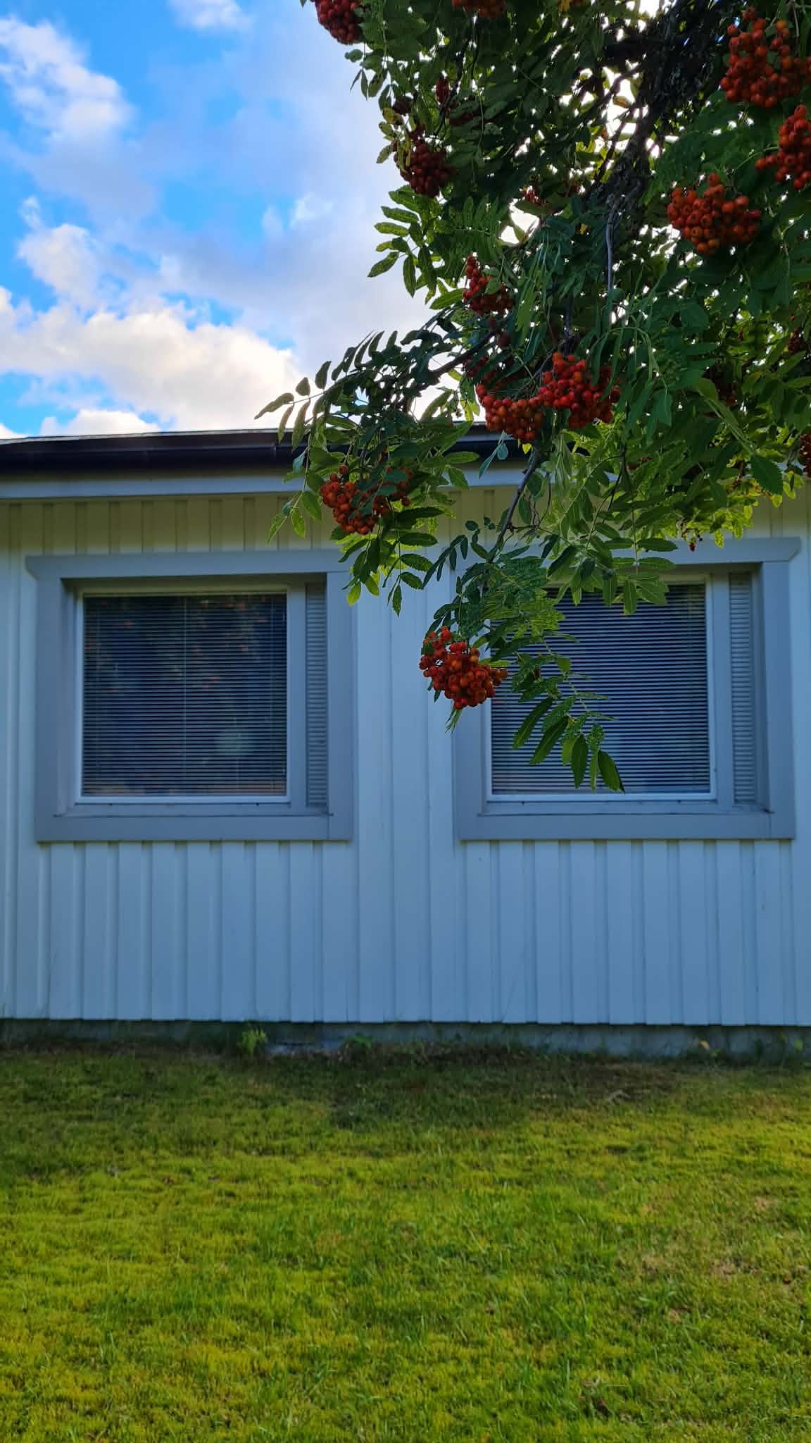 5 rok · 111 m² i Boden – bild 4