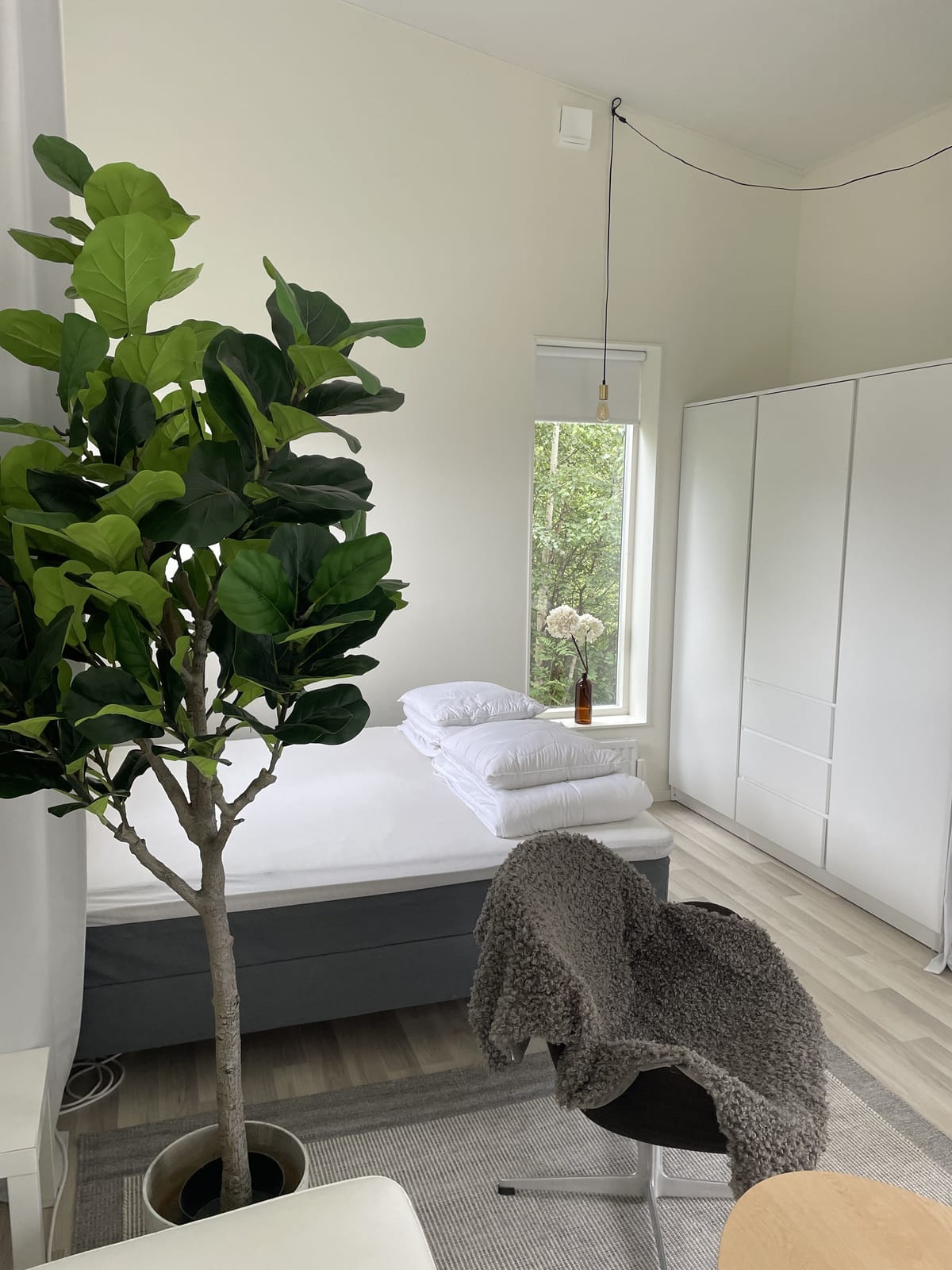 2 rok · 36 m² i Gotlands Tofta – bild 13