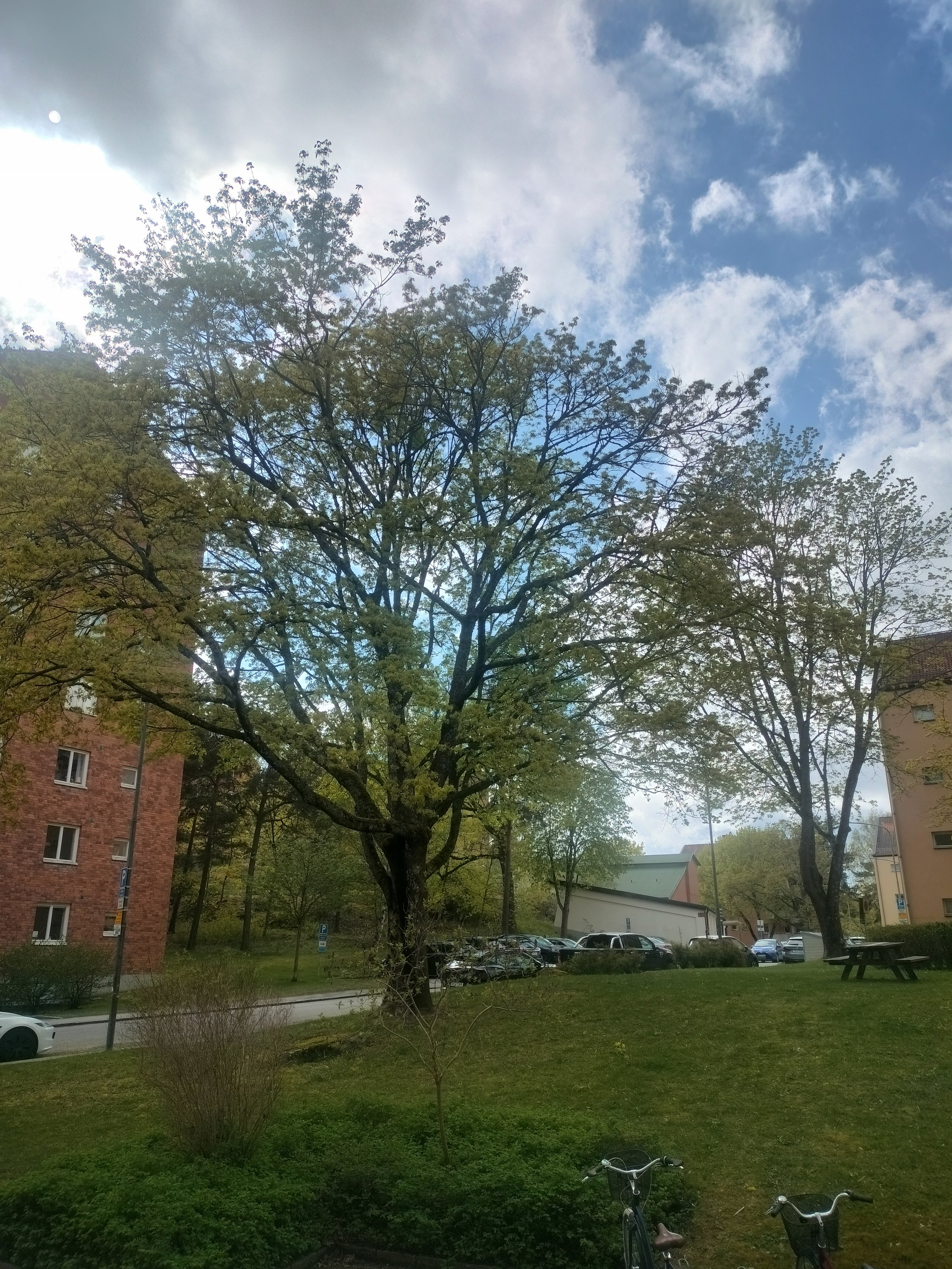 Lägenhet, 2 rooms, 55 sqm, Solna – bild 13