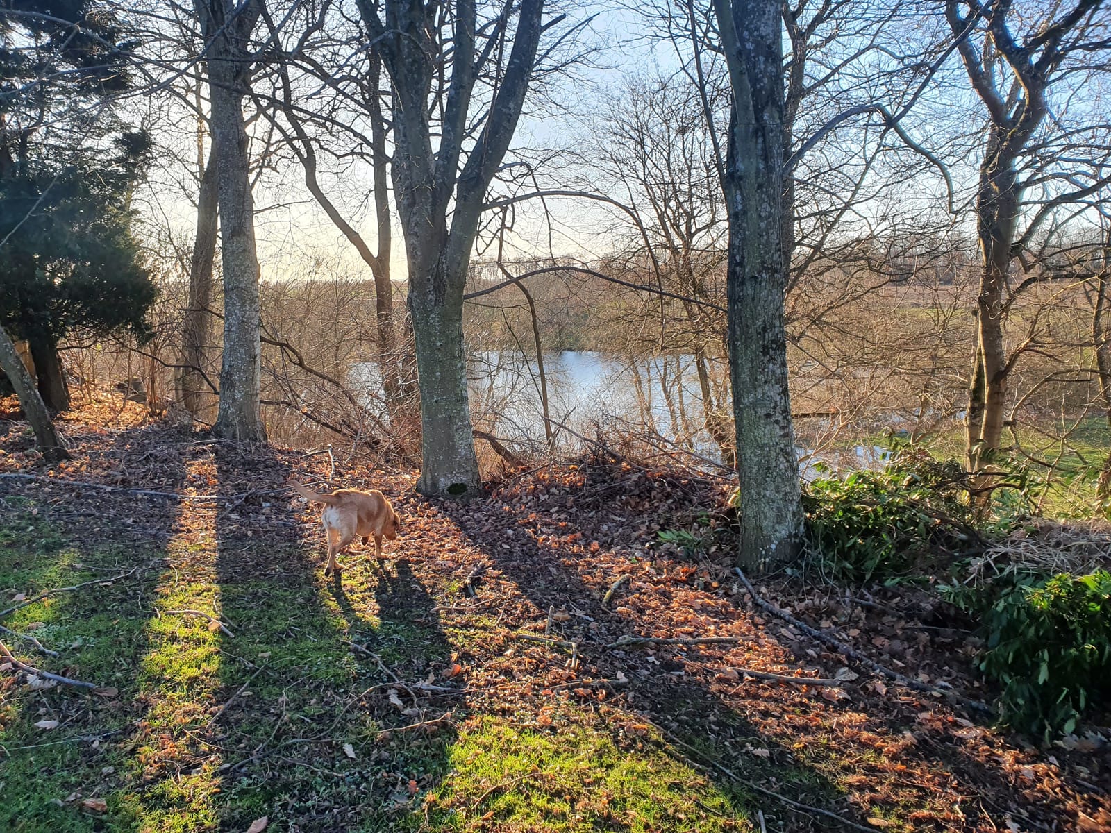 7 rok · 140 m² i Tomelilla – bild 12