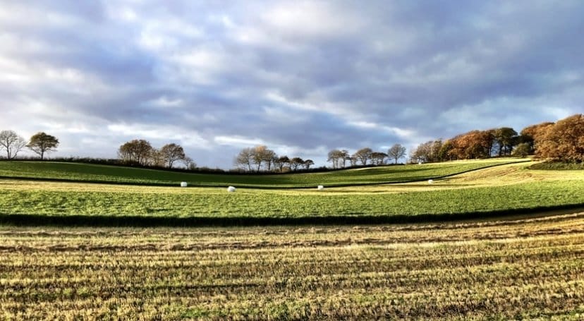 5 rok · 150 m² i Arild – bild 20