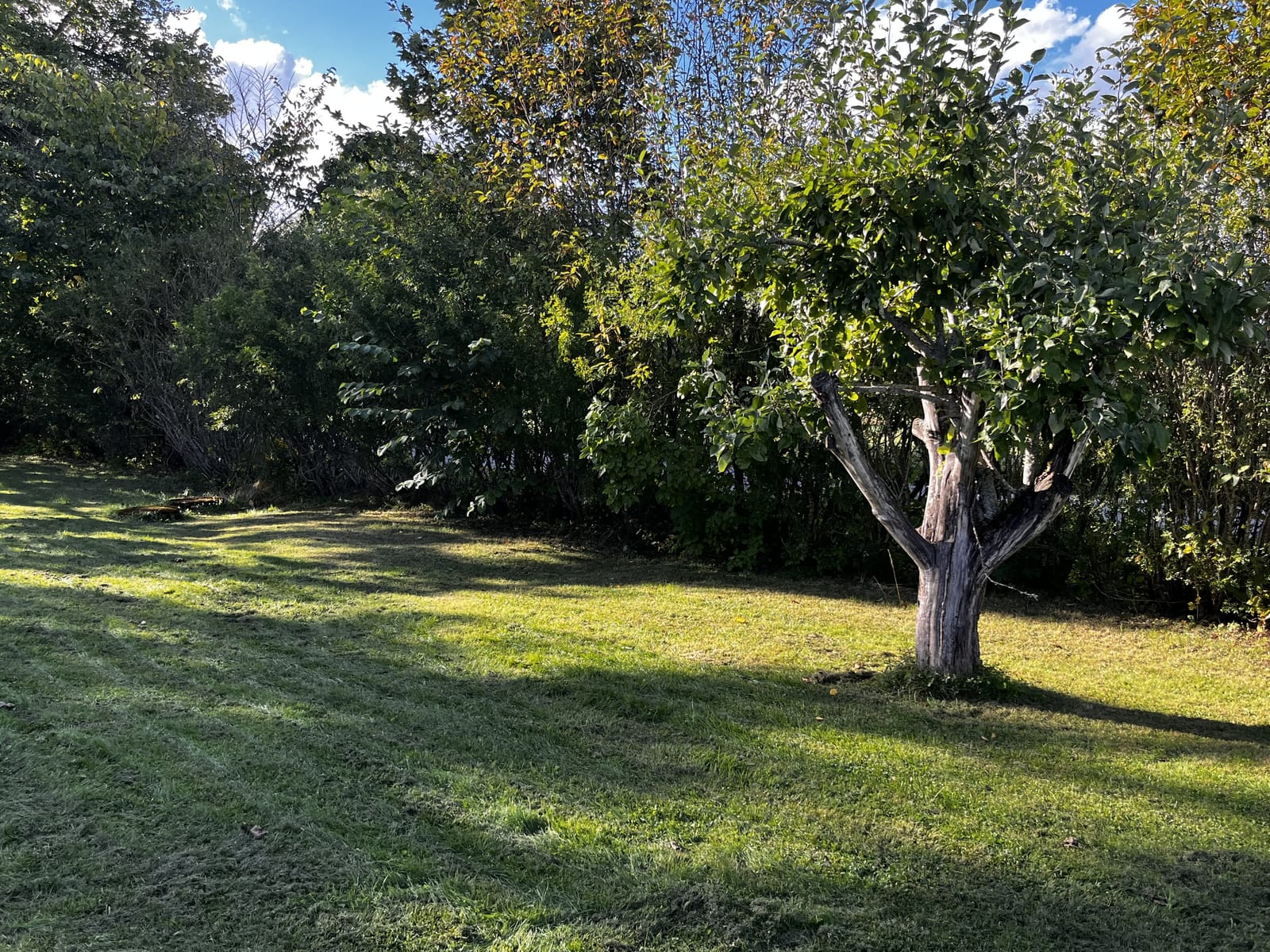 4 rok · 100 m² i Örbyhus – bild 4