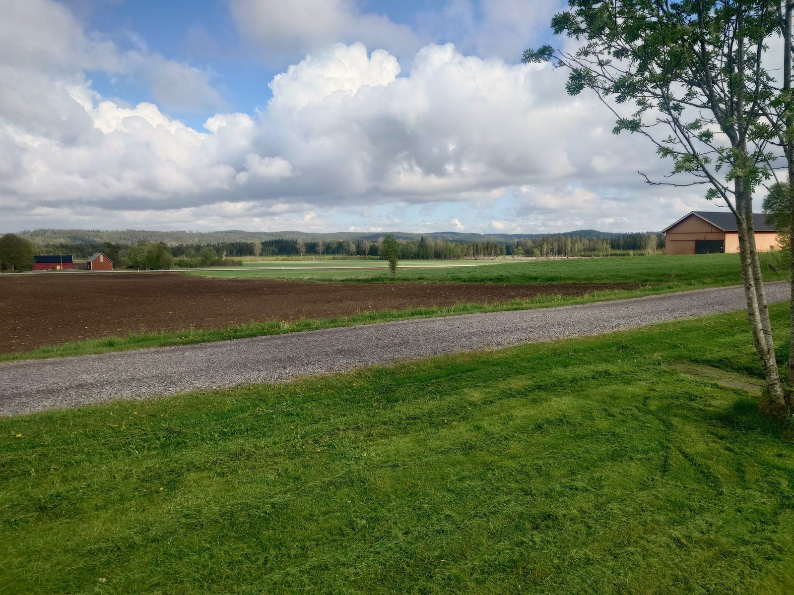 3 rok · 50 m² i Högsäter – bild 4