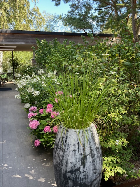 4 rok · 100 m² i Höllviken – bild 19
