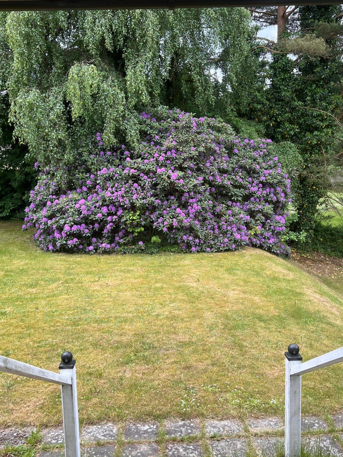 4 rok · 108 m² i Bjärnum – bild 24