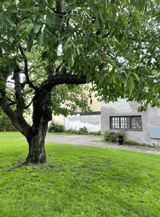 2 rok · 51 m² i Helsingborg – bild 9