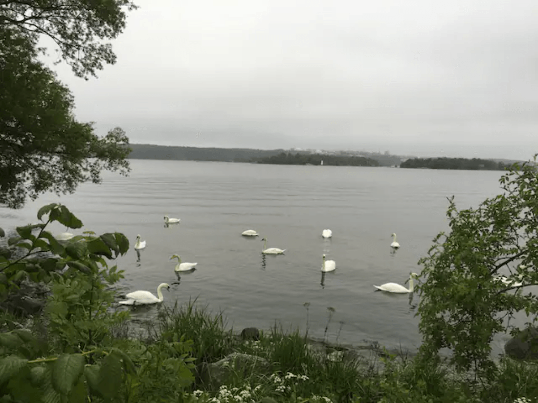 4 rok · 100 m² i Lidingö – bild 15