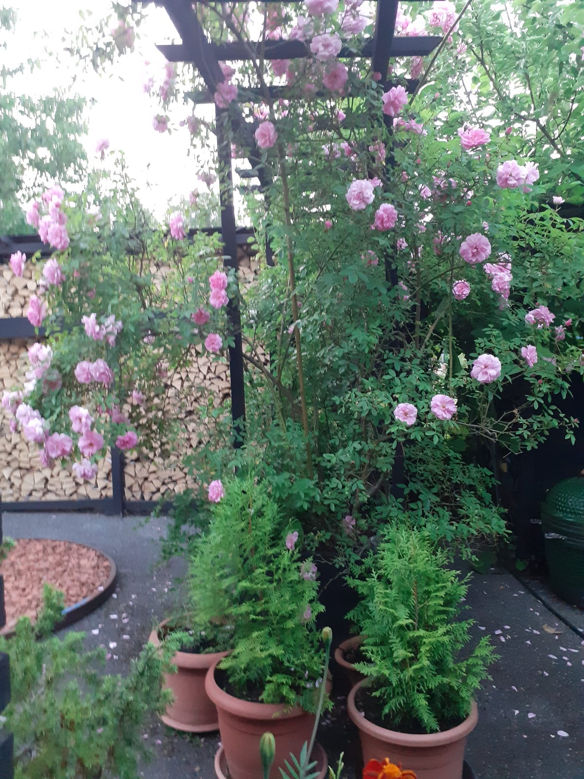 1 rok · 44 m² i Adelsö – bild 3