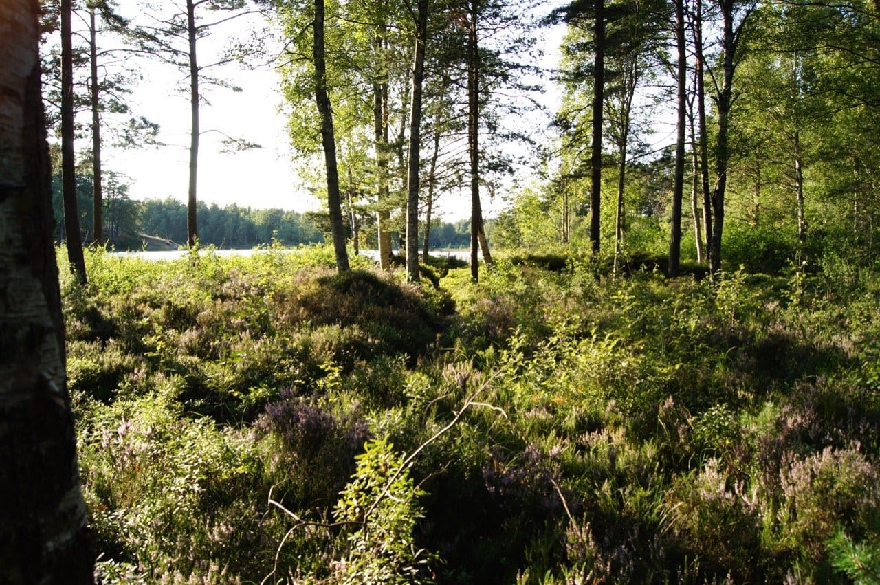 2 rok · 34 m² i Värmdö – bild 13